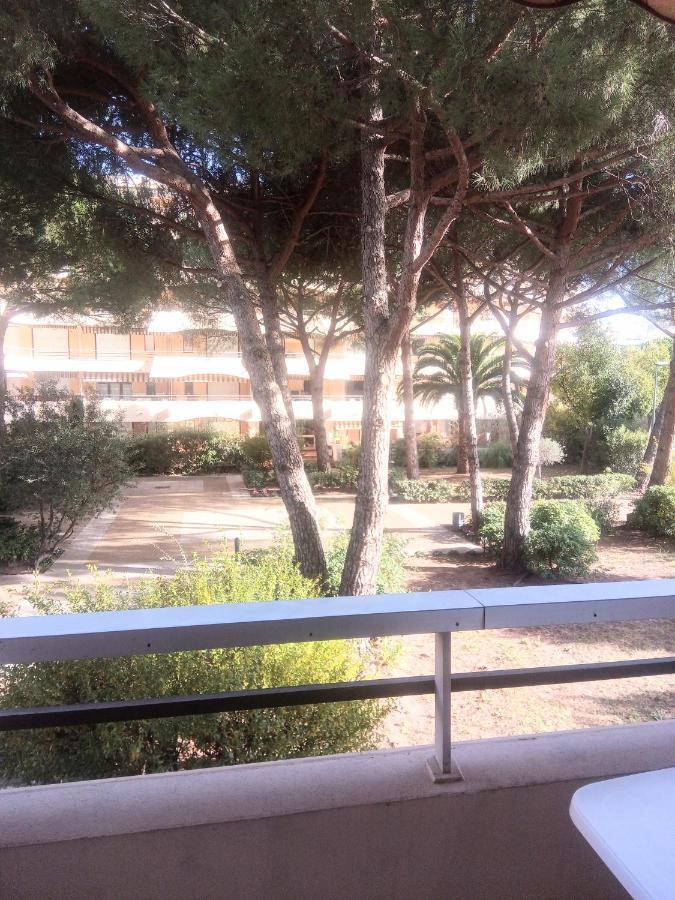 Frejus Plage, Appartement Entier , Piscine,Parking,Plage A 200M Екстер'єр фото