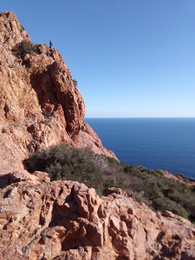 Frejus Plage, Appartement Entier , Piscine,Parking,Plage A 200M Екстер'єр фото
