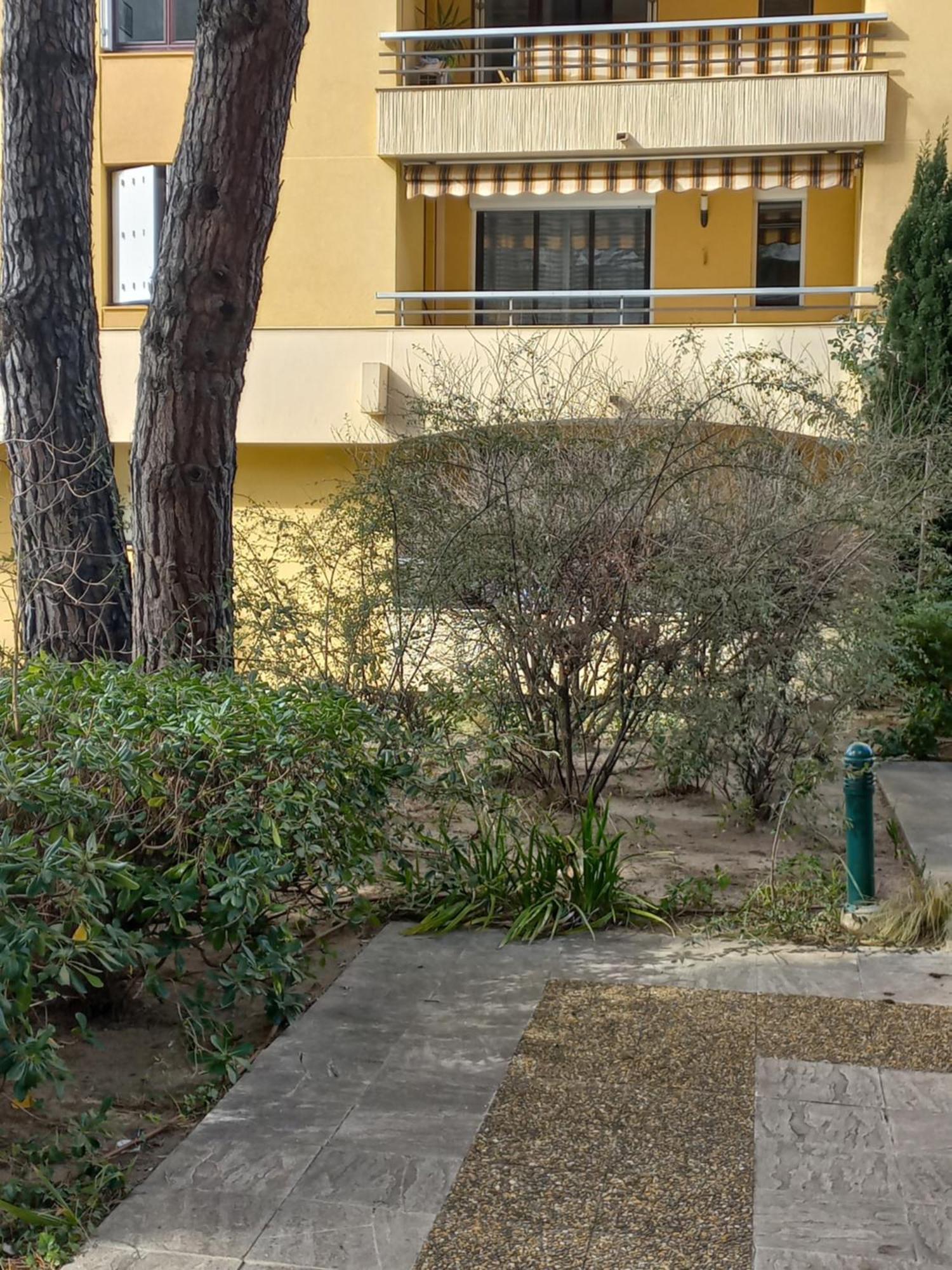 Frejus Plage, Appartement Entier , Piscine,Parking,Plage A 200M Екстер'єр фото